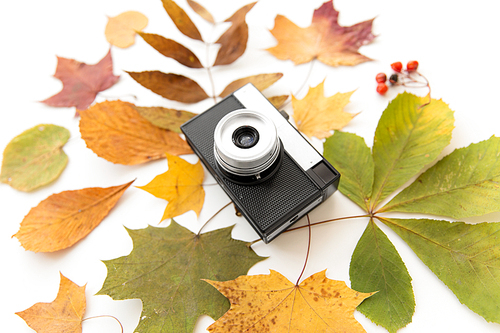 photography and season concept - film camera and autumn leaves on white background