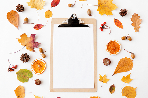 nature, season and botany concept - autumn fruits and clipboard with blank white paper