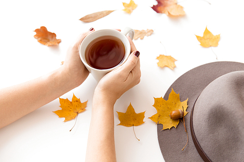 drinks, season and people concept - women's hands with cup of tea, autumn leaves and hat on white background
