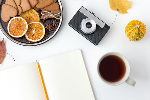 technology and season concept - notebook with pencil, autumn leaves, cup of tea, gingerbread cookies with dried orange slices and film camera on white background
