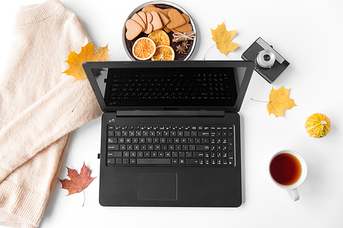 technology and season concept - laptop computer, cup of tea, film camera, autumn leaves and gingerbread cookies with sweater on white background