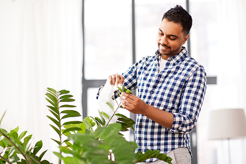 people, housework and care concept - happy indian man cleaning houseplant's leaves by tissue at home