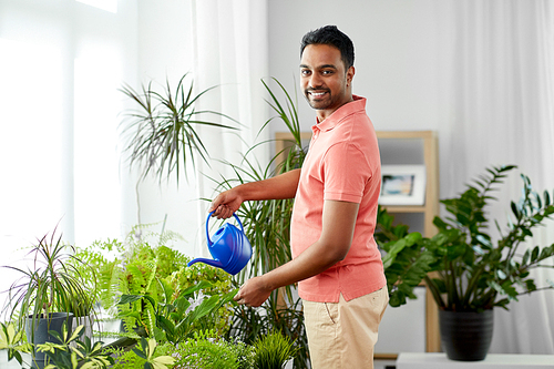 people, nature and plants care concept - indian man watering houseplants at home