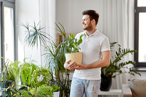 people, nature and plants concept - smiling man holding flower in pot and taking care of houseplants at home