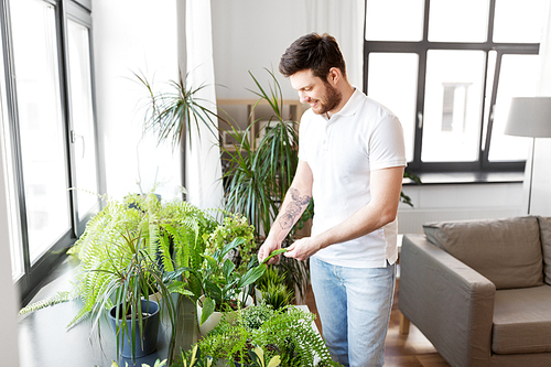 people, nature and plants concept - man taking care of houseplants at home
