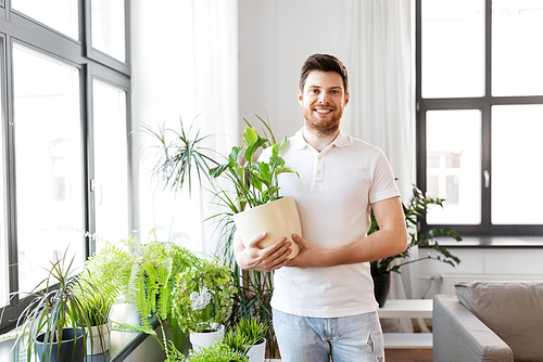 people, nature and plants concept - man holding flower in pot taking care of houseplants at home
