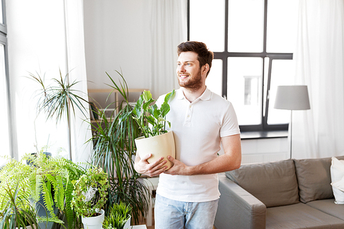 people, nature and plants concept - man holding flower in pot taking care of houseplants at home