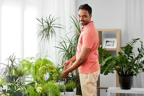people, nature and plants concept - indian man taking care of houseplants at home