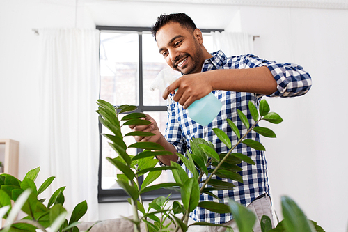 people, nature and plants care concept - smiling indian man spraying houseplant by water sprayer at home