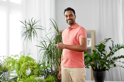 people, nature and plants concept - indian man taking care of houseplants at home