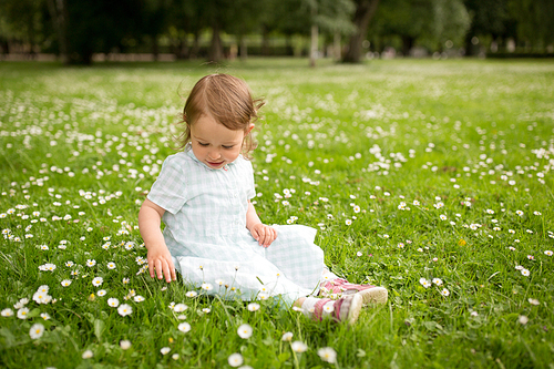 childhood, leisure and people concept - happy little baby girl playing with flowers at park in summer