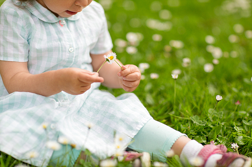 childhood, leisure and people concept - happy little baby girl playing with flowers at park in summer