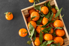 food, healthy eating and vegetarian concept - close up of whole mandarins with leaves on slate table top