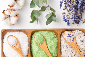 beauty, bath and wellness concept - sea salt with lavender, eucalyptus cinerea, cotton flowers and spoons on wooden tray