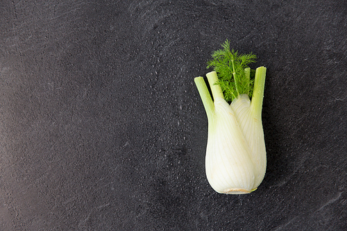 vegetable, food and culinary concept - fennel on slate stone background