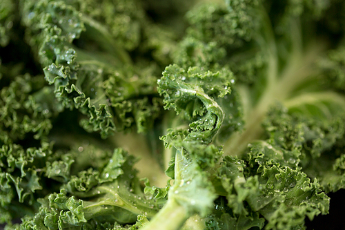 vegetable, food and culinary concept - close up of kale cabbage on table
