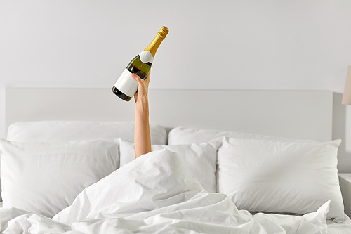 alcohol, comfort and morning concept - hand of young woman lying in bed with champagne bottle