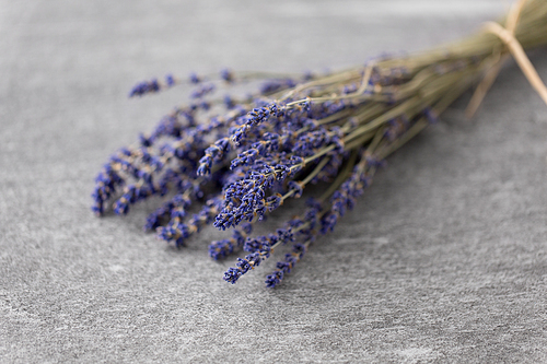 nature, flora and herbal concept - bunch of dried lavender flowers on stone surface