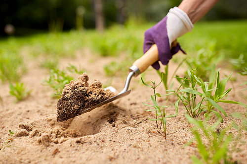 gardening and people concept - hand digging flowerbed ground with garden trowel