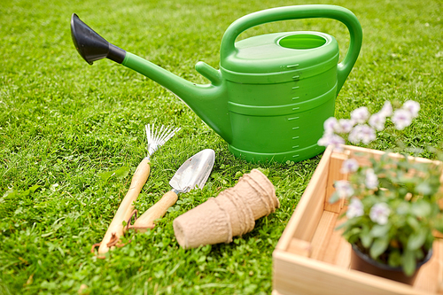 gardening and people concept - watering can, garden tools, pots and flowers in wooden box at summer