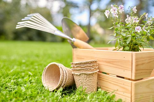 gardening and people concept - garden tools and flowers in wooden box at summer