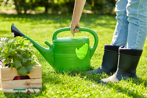 gardening and people concept - woman with watering can, garden tools and flowers in wooden box at summer