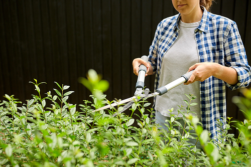gardening and people concept - woman with pruner or pruning shears cutting branches at summer garden