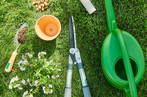 gardening and people concept - watering can, garden tools, flower pot and bulbs on grass at summer