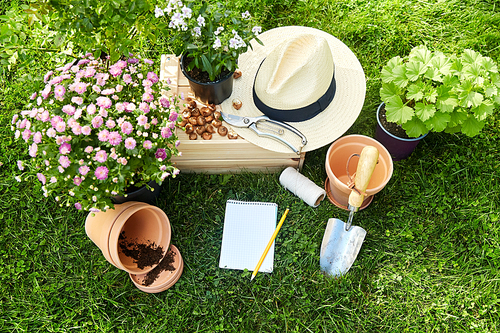 gardening and people concept - notebook with pencil, garden tools, wooden box and flowers in pots at summer