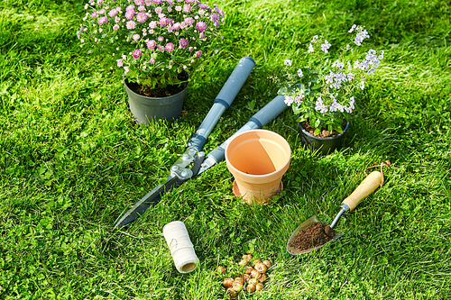 gardening and people concept - garden tools, flower pot and bulbs on grass at summer