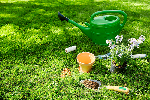 gardening and people concept - watering can, garden tools, flower pot and bulbs on grass at summer