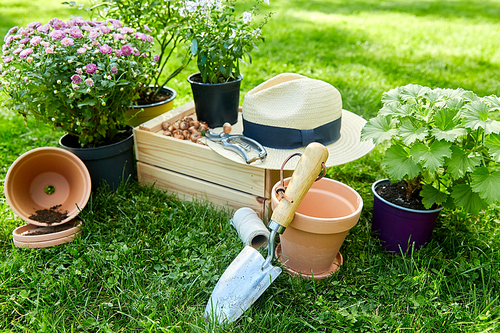 gardening and people concept - garden tools, wooden box and flowers in pots at summer