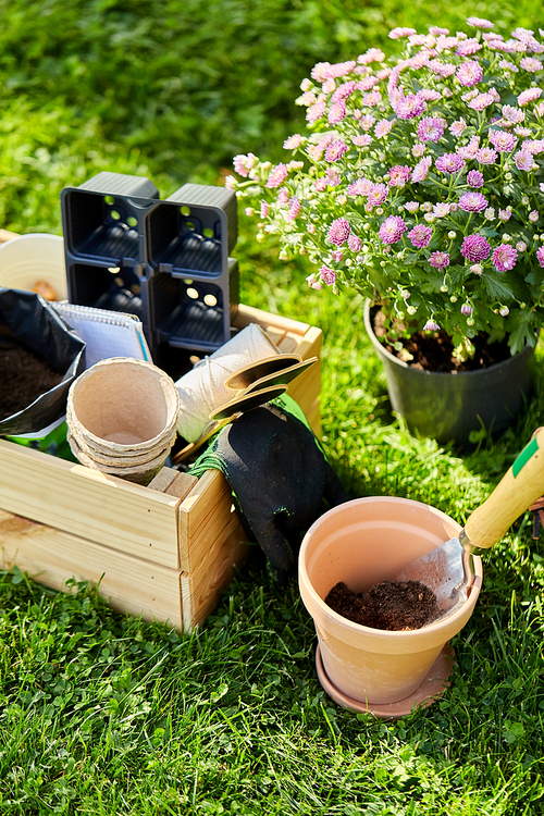 gardening and planting concept - garden tools in wooden box at summer