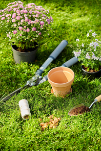 gardening and planting concept - garden tools, pots and flowers on grass at summer