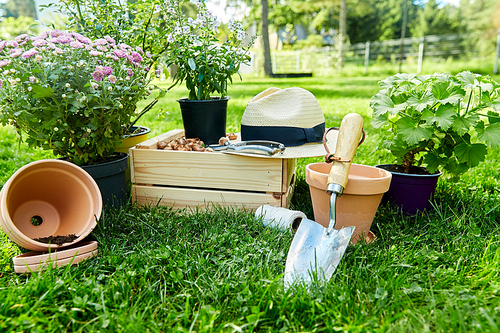 gardening and people concept - garden tools, wooden box and flowers in pots at summer