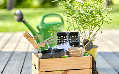 gardening, farming and planting concept - wooden box with garden tools, pots and seedling in summer