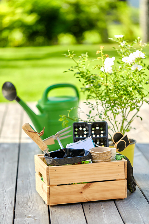 gardening, farming and planting concept - wooden box with garden tools, pots and seedling in summer