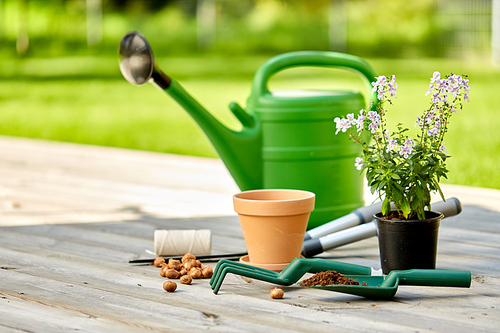 gardening, farming and planting concept - watering can, garden tools, pots and flowers on wooden terrace in summer