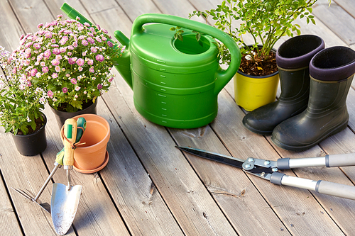 gardening, farming and planting concept - garden tools, flower seedlings and rubber boots on wooden terrace in summer