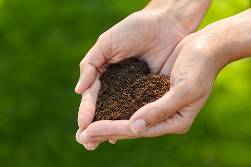 gardening, environment and people concept - cupped hands holding soil in shape of heart at summer garden