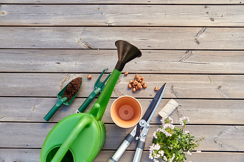 gardening, farming and planting concept - garden tools, pots and flowers on wooden terrace in summer