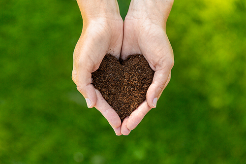 gardening, environment and people concept - cupped hands holding soil in shape of heart at summer garden
