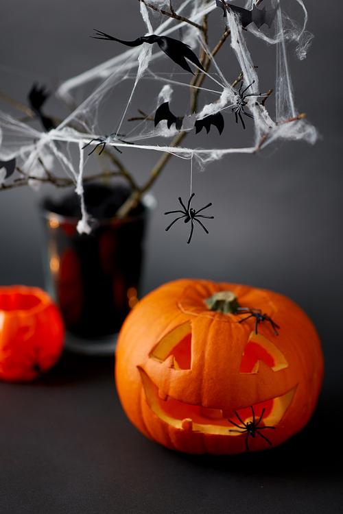 halloween and holiday decorations concept - jack-o-lantern or carved pumpkin, spiders and bats on spiderweb