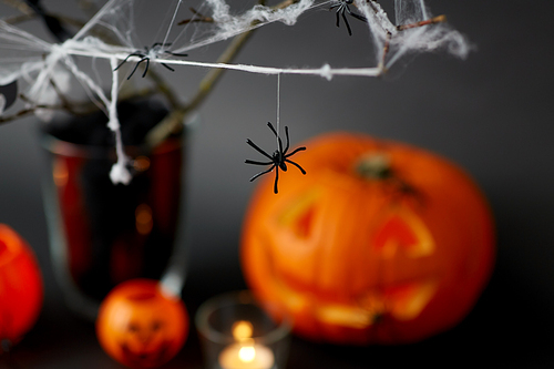 halloween and holiday decorations concept - jack-o-lantern or carved pumpkin and spiders on spiderweb