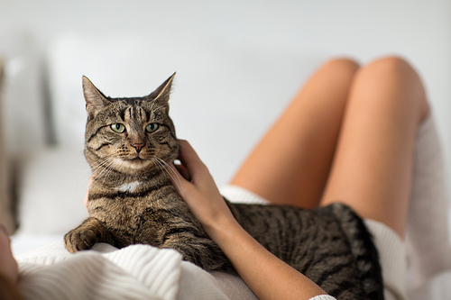 pets, comfort, rest and people concept - happy young woman with cat lying in bed at home