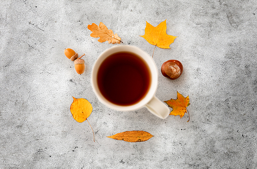 drinks, season and people concept - cup of 홍차, autumn leaves, acorns and chestnut on grey stone background
