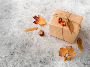 nature and season concept - gift box packed into postal wrapping paper, autumn leaves, chestnuts, acorns and rowanberries on grey stone background