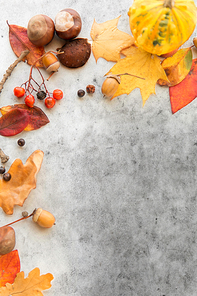 nature, season and botany concept - frame of different dry fallen autumn leaves, chestnuts, acorns and berries on grey stone background