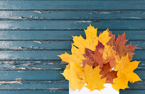 nature, season and  concept - dry fallen autumn maple leaves with envelope on old painted blue shabby boards background