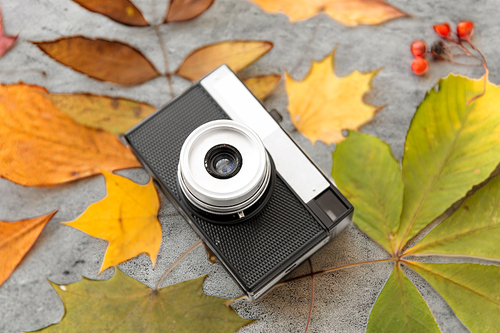 photography and season concept - film camera and autumn leaves on gray stone background
